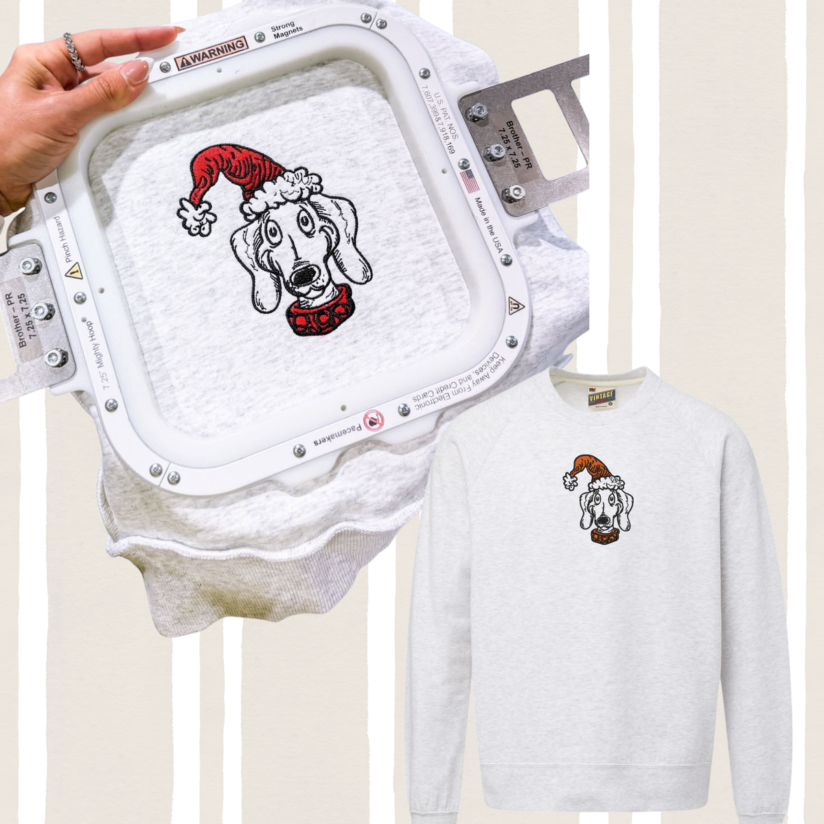 Dr. Suess Short Hair Dachshund